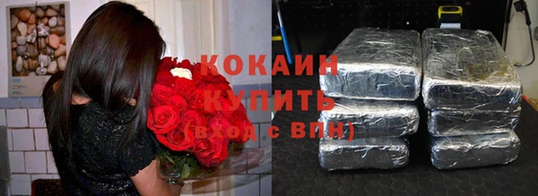 мдпв Каменногорск