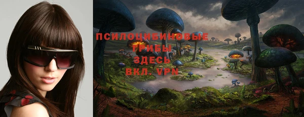 первитин Каменка