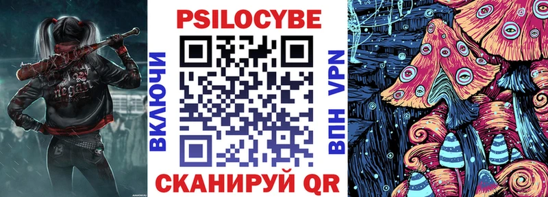 Псилоцибиновые грибы Psilocybe  Купить  Заполярный 